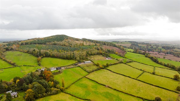 Image depicts local countryside close to Coed Glass.